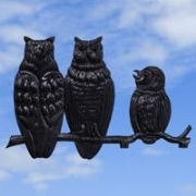 Owl Family Black Weather Vane