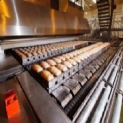 Industrial Traveling Ovens