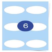 6 Lables Per Page Oval Labels 