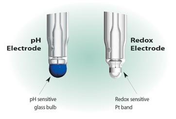 Redox FermProbes Electrodes