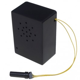 Motion Sensors