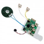  Recordable Sound Chips