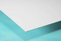 Hygienic Wall Cladding PVC Sheet White