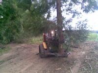 Timber Harvesting