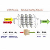 Selective Catalytic Reaction Systems