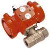 Pneumatic actuated valves