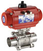 Pneumatically operated stainless steel sanitary valves