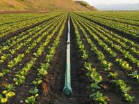 Irrigation Tube Coiling Services