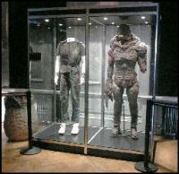 Double Costume Display Cabinets