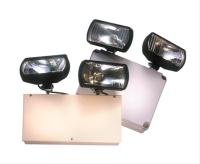 Twin Flood Lighting Systems