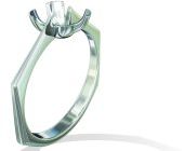 Ring Castings