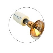 UV Lamps
