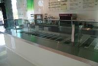 Stainless Steel Food Display Counters