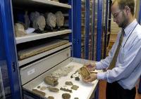 Museum Cabinets