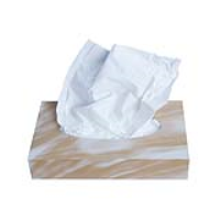 2 Ply White Mansize Facial Tissues (24 boxes)