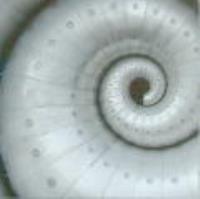 Sculptural Metal Work