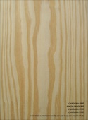 Veneered Veneered Birch Plywood