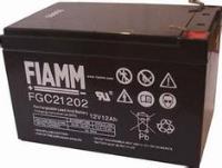 Fiamm FGC21202 12V 12Ah Mobility Scooter Sealed Lead Acid Battery