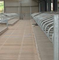 Agricultural Cubicle Beds