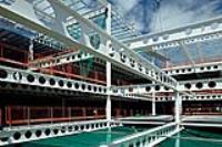 Westok Cellular Beam Supplier