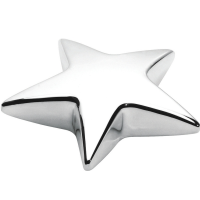 Star Paperweight