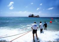 MINISUB Fiber-optic Submarine Cables