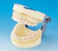Prosthetic Dentistry Products