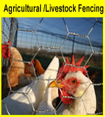 Livestock fencing