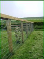 Non Climb Rigid Stay Horse Fence