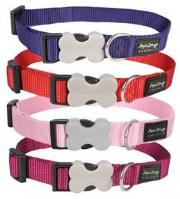 Dog collars from Just Dogs