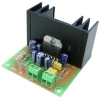 20W RMS Mono ROADPOWER Audio Power Amplifier Module