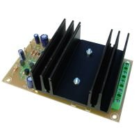 35W RMS Mono Hi-Fi Audio Power Amplifier Module