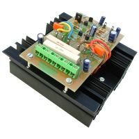100W RMS Mono Hi-Fi Audio Power Amplifier Module