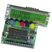 15 Message Programmable LCD Display (16x2 Illuminated)