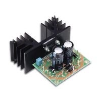 2 x 30W Audio Power Amplifier Electronic Kit