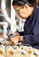 Functional Testing Systems