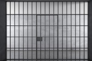 Bespoke Door Security Grilles