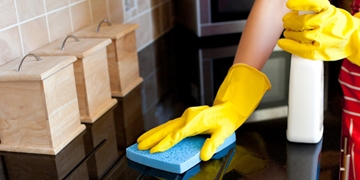 Domestic Cleaning Services