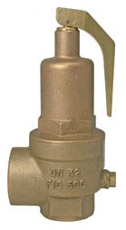 Nabic 500 High Lift Safety Valve