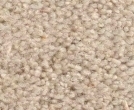 Housebuilder Carpets Suppliers