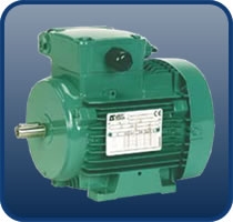 Electric Motor Replacement