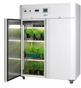 Arabidopsis Chamber 
