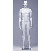 Male Alpha Mannequins &#45; ALMO4
