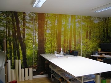 Wall Paper Design Print and Installation