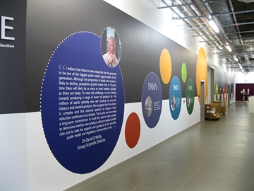 Wall Art Design, Print and Installation