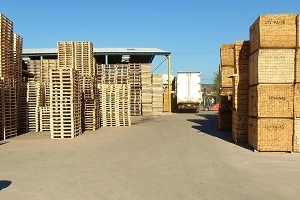 Full Pallet Repair and Recycling Service