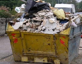 Professional Waste Management Service