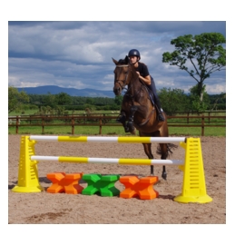 Moulded Horse Mounting Blocks