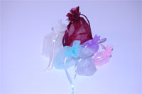 Favour Bags