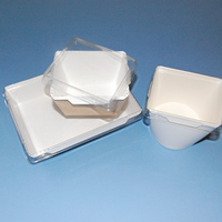 Food Box With Snap On Clear Lid